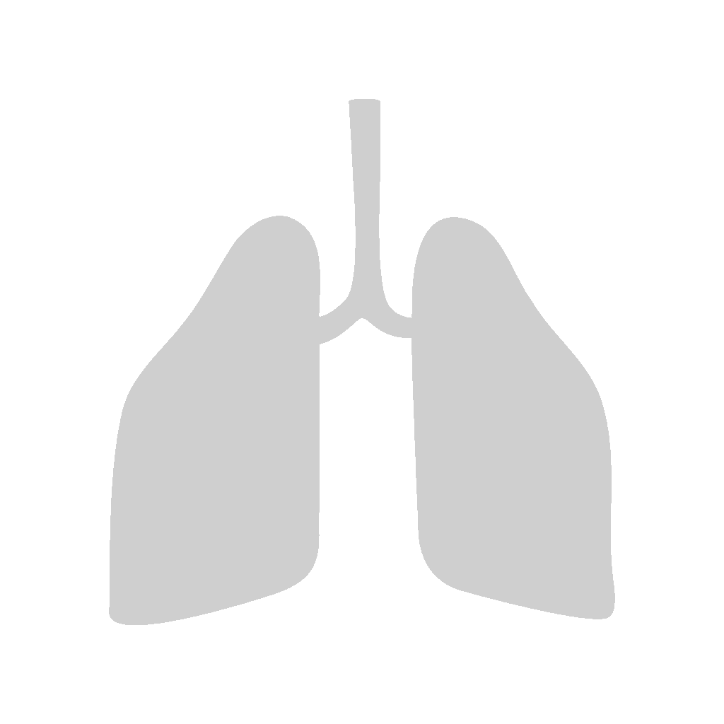 HeartLife_Illustrated_Organs_Lungs_Grey_RGB
